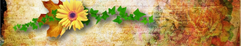 Banner profilu