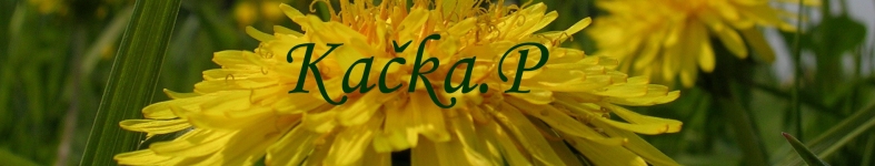 Banner profilu