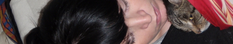 Banner profilu