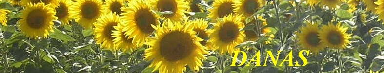 Banner profilu