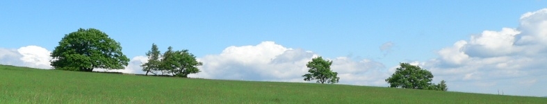 Banner profilu