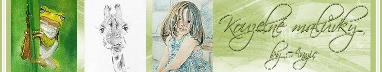Banner profilu