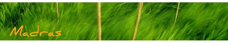 Banner profilu