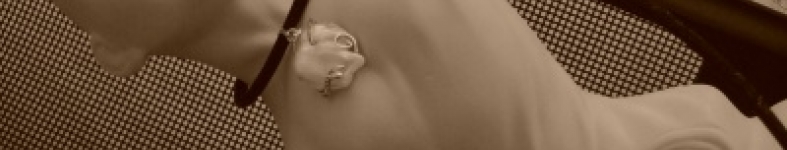 Banner profilu