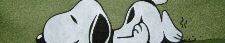 Banner profilu