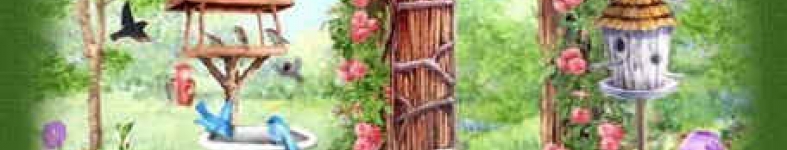 Banner profilu