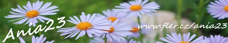 Banner profilu