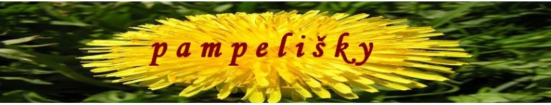 Banner profilu