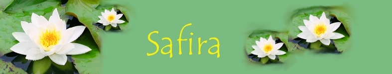 Banner profilu
