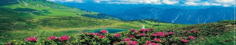 Banner profilu