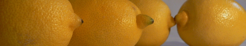 Banner profilu
