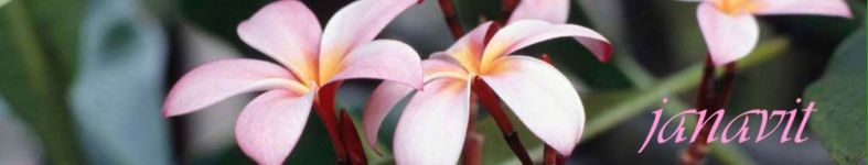 Banner profilu