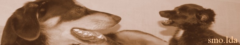 Banner profilu