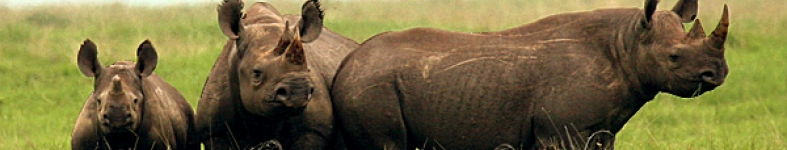 Banner profilu