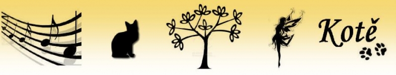 Banner profilu