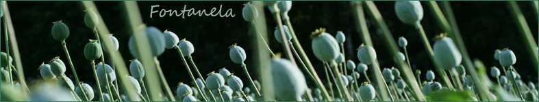Banner profilu