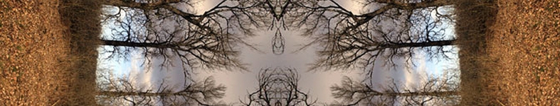 Banner profilu