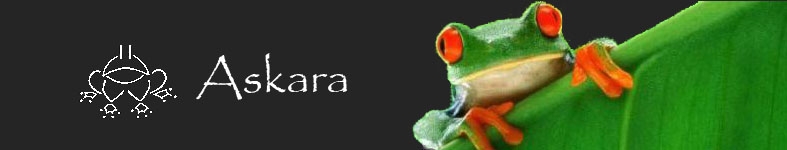 Banner profilu