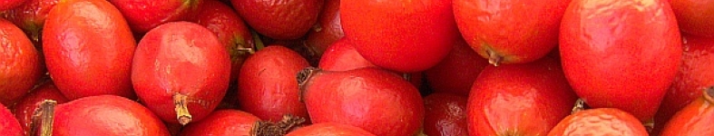Banner profilu