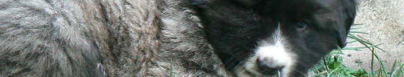 Banner profilu