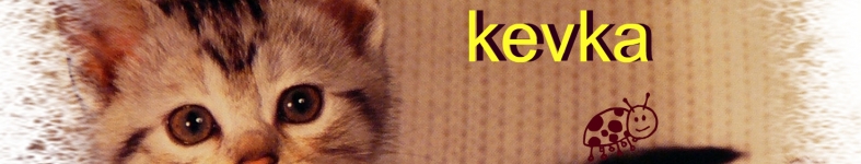 Banner profilu