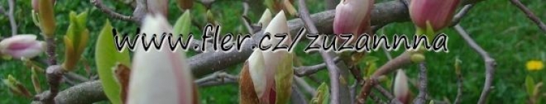 Banner profilu