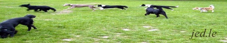 Banner profilu