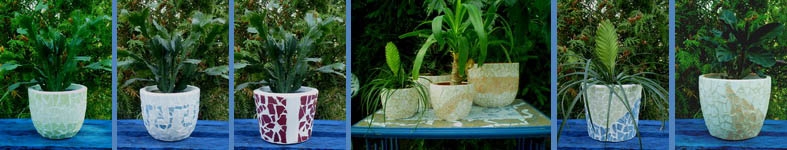 Banner profilu
