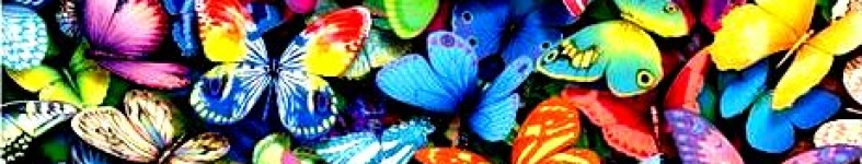 Banner profilu