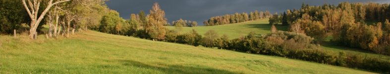 Banner profilu