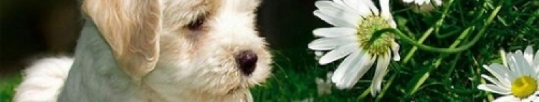 Banner profilu