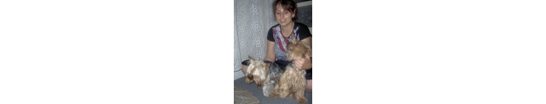 Banner profilu