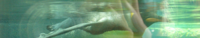 Banner profilu