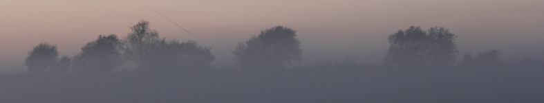 Banner profilu