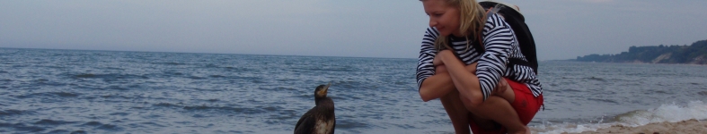 Banner profilu