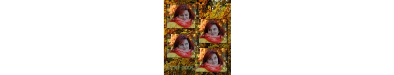 Banner profilu