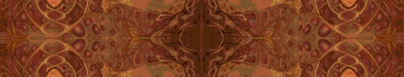 Banner profilu
