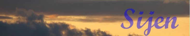 Banner profilu