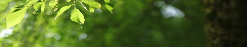 Banner profilu