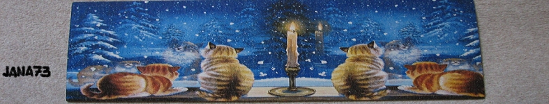 Banner profilu