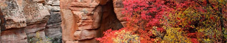 Banner profilu