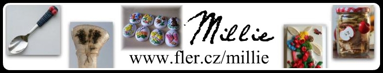Banner profilu