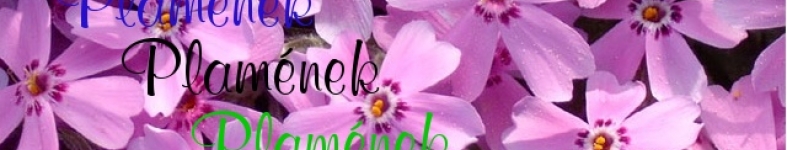 Banner profilu