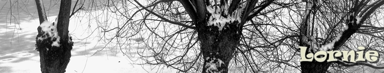 Banner profilu