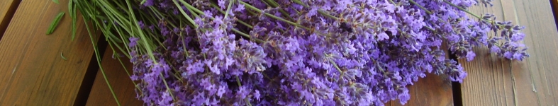 Banner profilu