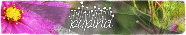 Banner profilu