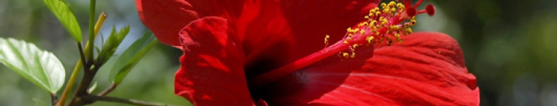 Banner profilu