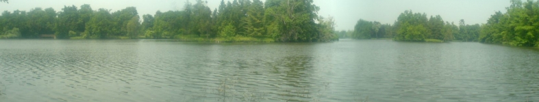 Banner profilu