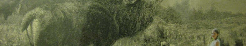 Banner profilu