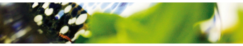 Banner profilu